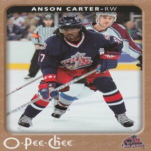 Anson Carter - 2006/2007 O Pee Chee Hockey Card